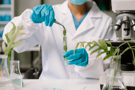 Seguros de Biotecnología